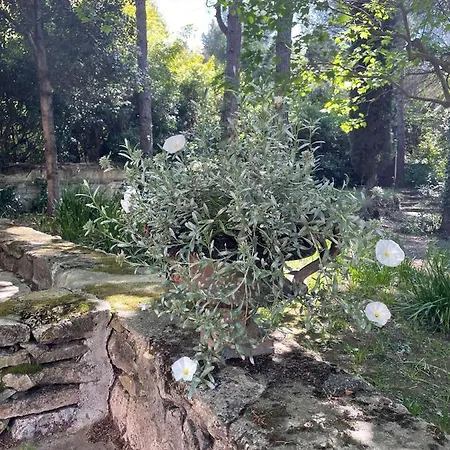 Le Clos De La Tour Hébergement de vacances